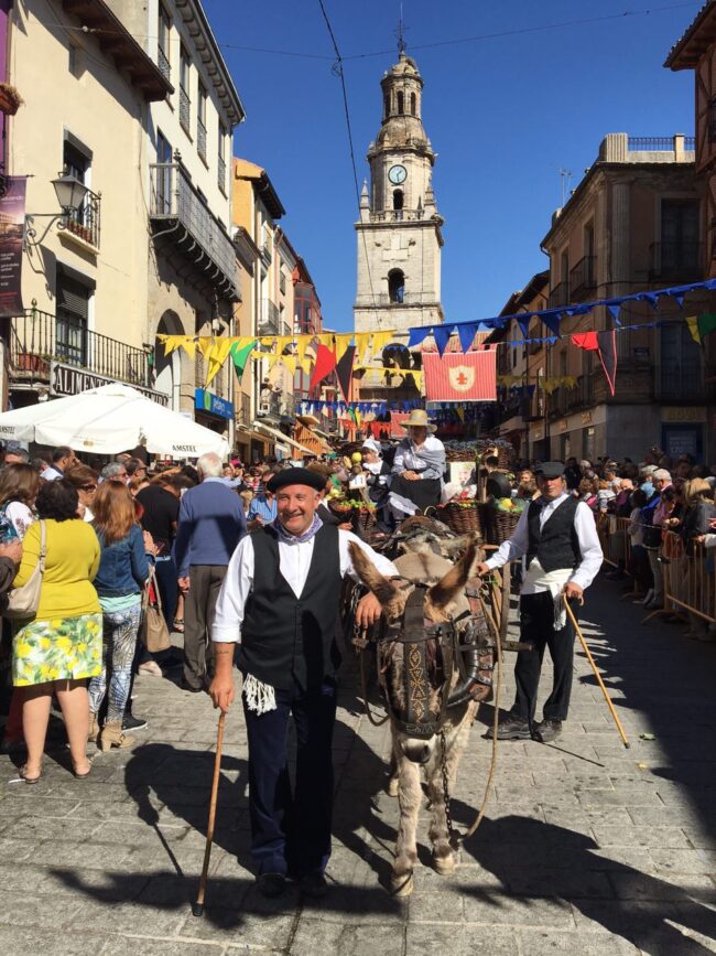 desfile de carros toro