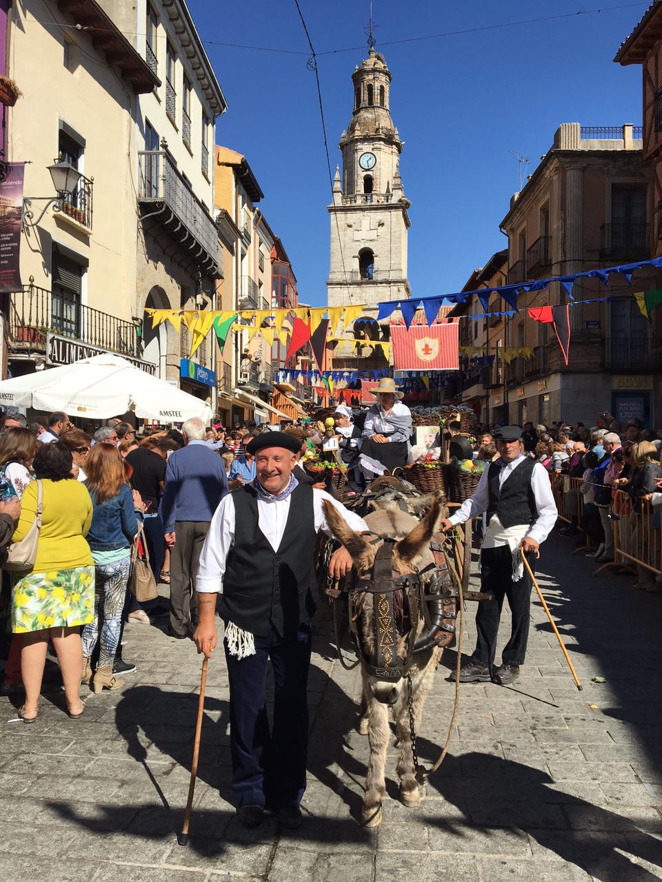 desfile de carros toro