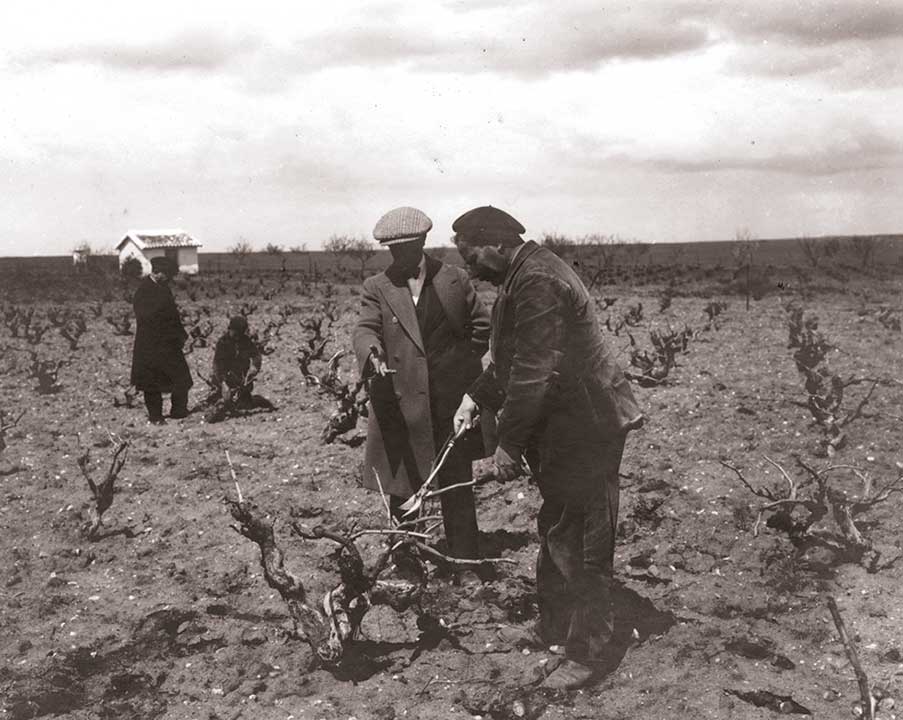 Vinos D.O. Toro Historia