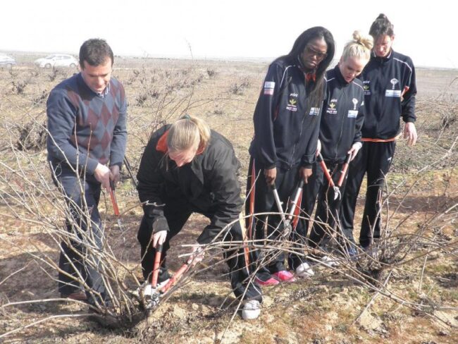 Jornada de Poda en Toro con las chicas del Basket Tintos de Toro Jornada de Poda en Toro con las chicas del Basket Tintos de Toro