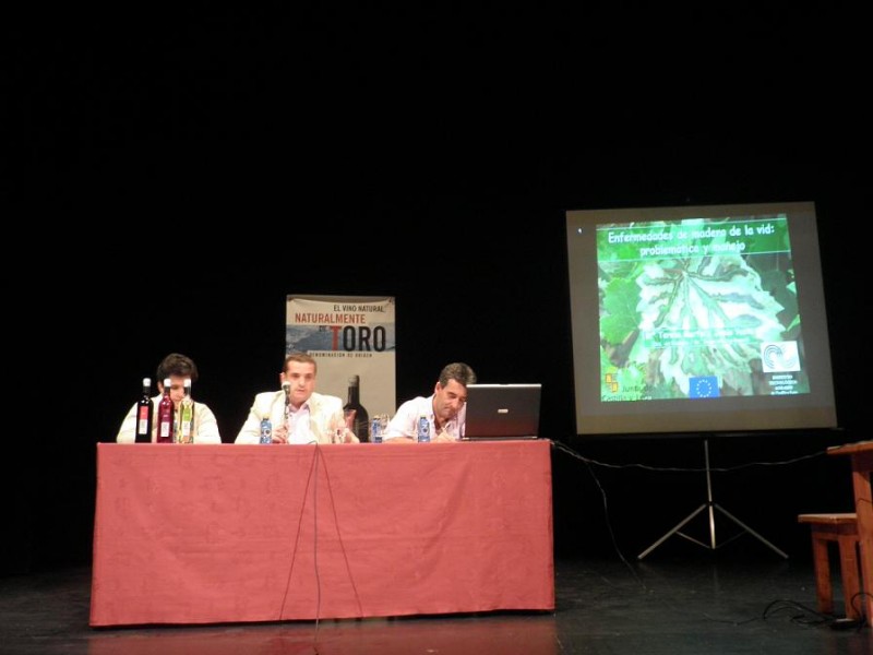 Conferencia de Viticultura "Enfermedades de madera de la vid" en Toro