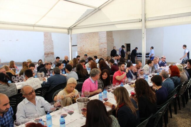 La añada 2015 de la D.O. Toro es calificada como 'muy buena'