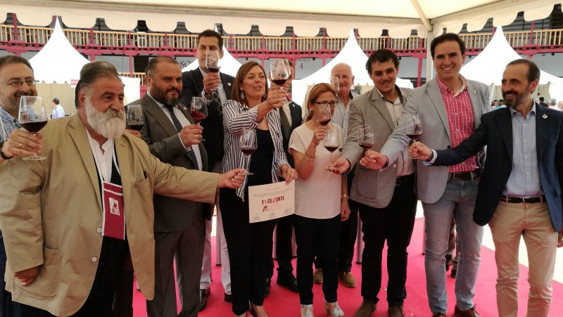 La añada 2016 de la D.O. Toro es calificada como 'excelente'