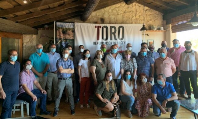 La añada 2019 de la D.O. Toro es calificada como “EXCELENTE” La añada 2019 de la D.O. Toro es calificada como “EXCELENTE”