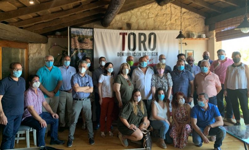 La añada 2019 de la D.O. Toro es calificada como “EXCELENTE”