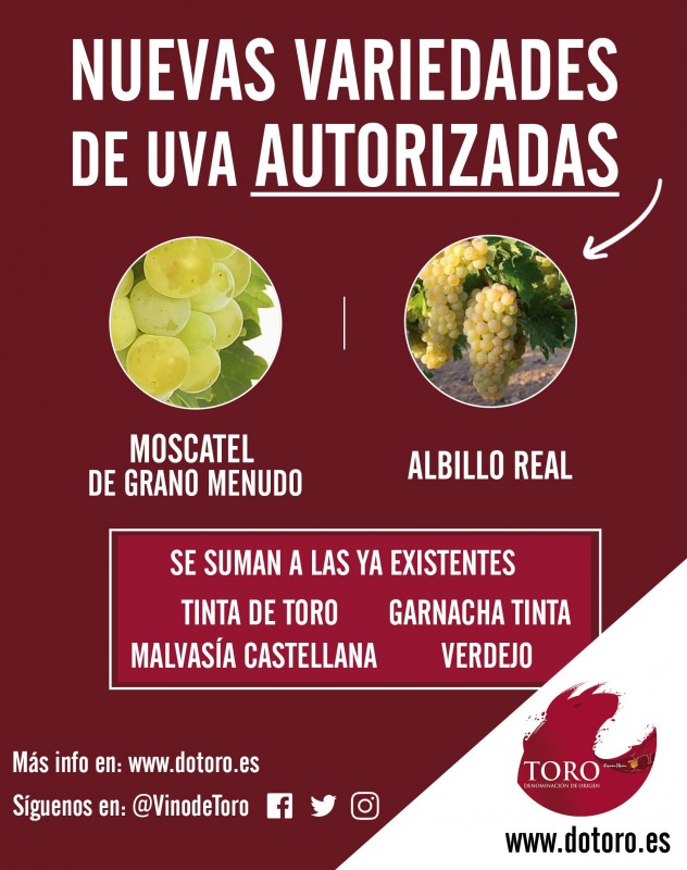 La D.O. Toro incorpora dos nuevas variedades de uva y otras novedades en su pliego de condiciones técnicas