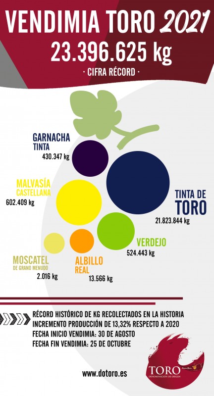La vendimia 2021 en la D.O. Toro bate récord y roza los 23
