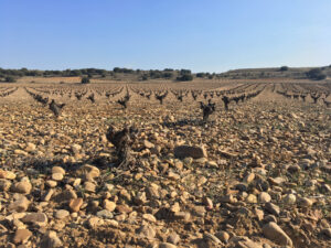 SOIL 3: QUATERNARY CLAYEY-SANDY SILT SOIL AND QUATERNARY CLAYEY-STONY SILT SOIL