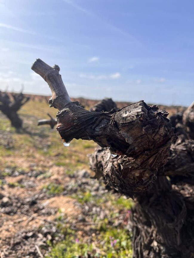 WhatsApp Image 2023-03-22 at 13.51.51